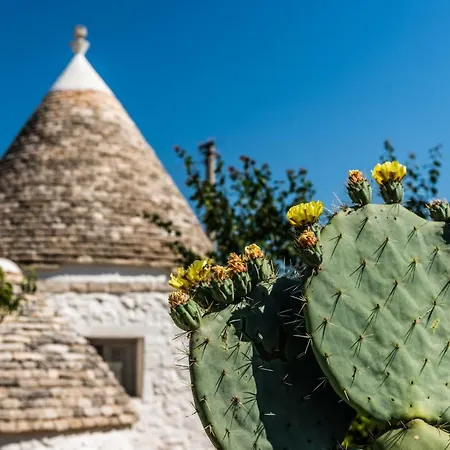 Trullo Picchiagiuda Apartamento