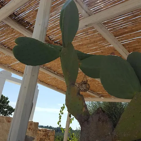 Trullo Picchiagiuda Villa Ostuni