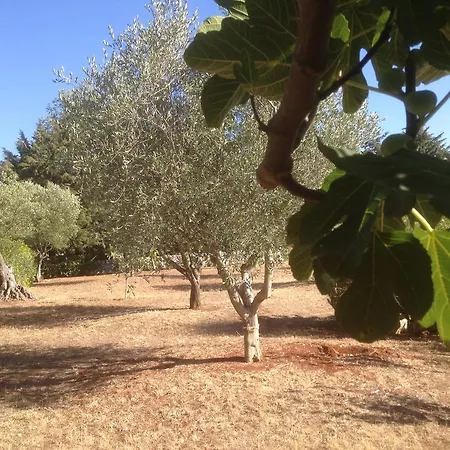 Trullo Picchiagiuda Villa *