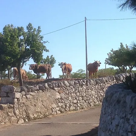 Trullo Picchiagiuda Villa