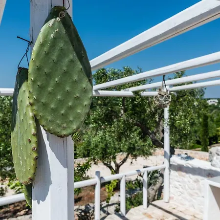 Trullo Picchiagiuda Villa