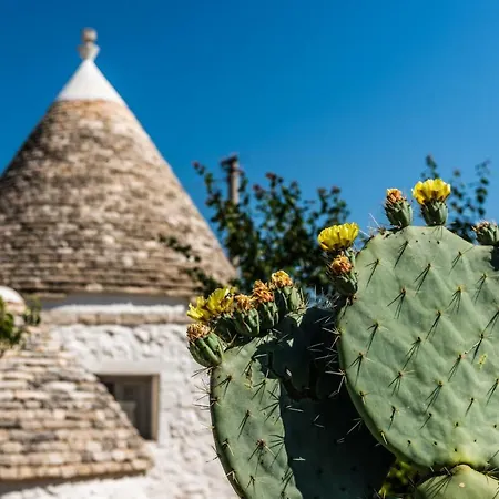 Trullo Picchiagiuda Casa vacanze