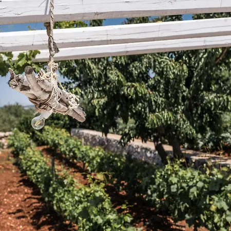 Trullo Picchiagiuda Ostuni