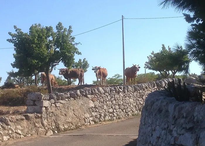 Trullo Picchiagiuda Villa
